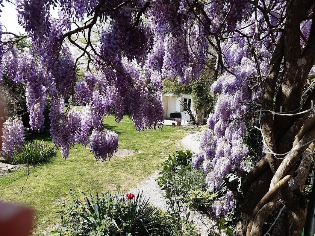 Domaine Les Feuillants Hotel Crouzilles Exterior photo